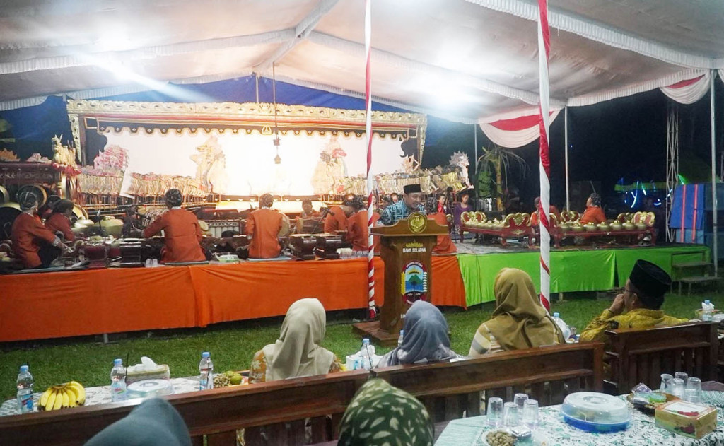Wabup Lampung Selatan Hadiri HUT ke-56 Desa Rawa Selapan, Soroti Prestasi dan Ketahanan Pangan