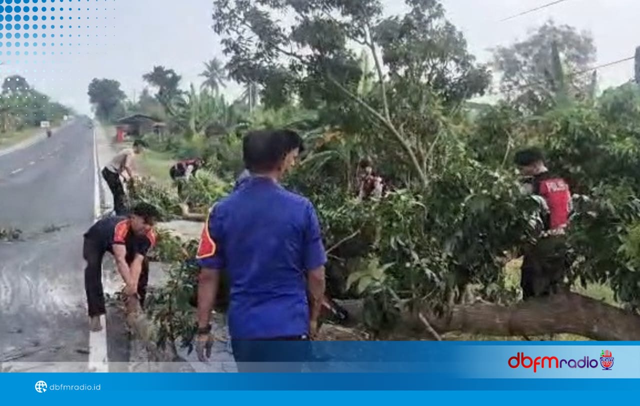 DAMKAR Kalianda Bersama Polres Lamsel Pangkas Pohon Rawan Bahaya di Jalinsum Km 50 Bakauheni