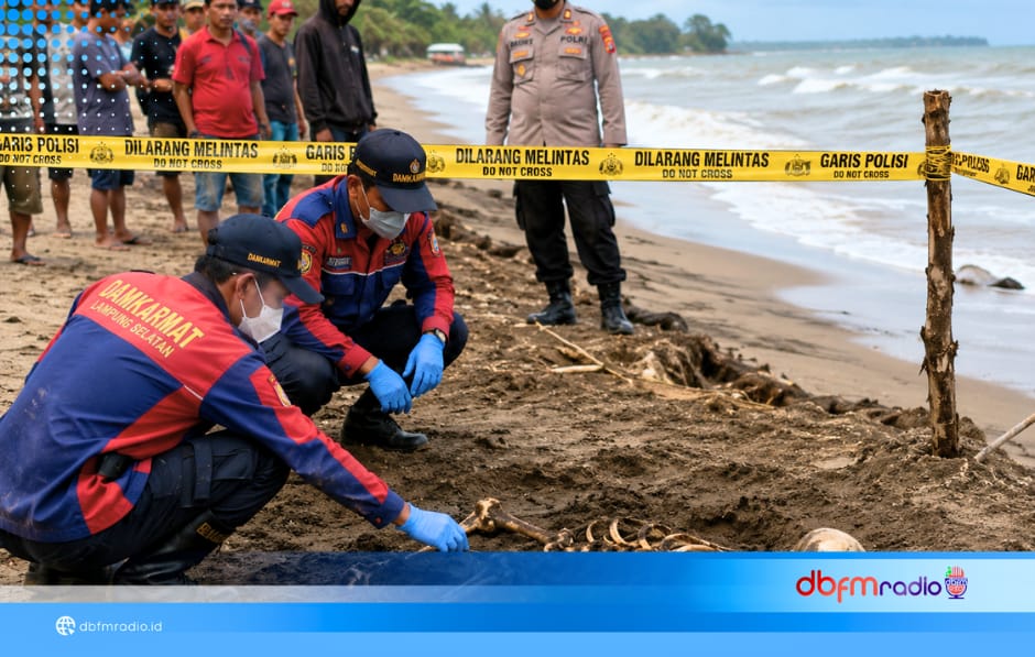Kerangka Manusia Terkubur di Pesisir Ketapang Ditemukan, Damkarmat Bantu Evakuasi