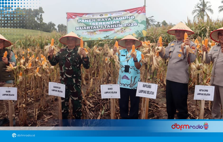 Pemkab Lampung Selatan Tegaskan Komitmen Ketahanan Pangan Lewat Panen Raya Jagung Serentak 2026