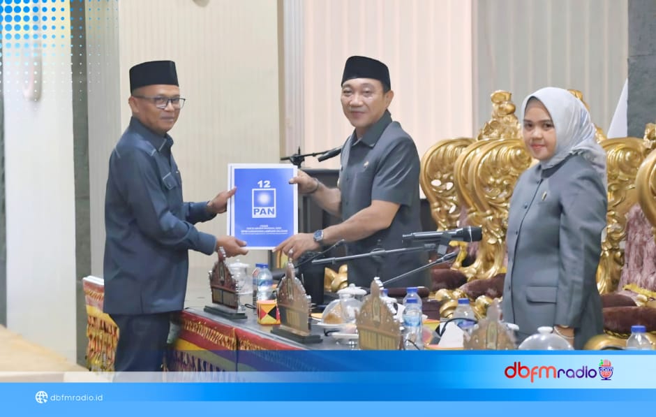 Jaga Ketahanan Pangan, Pemkab Lampung Selatan Revisi Perda LP2B Berbasis Data dan WebGIS