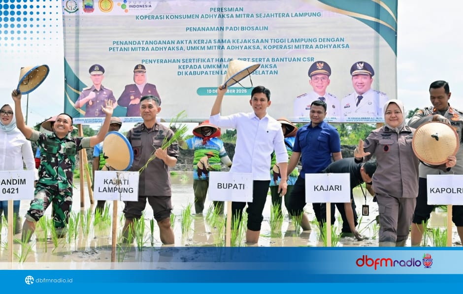 Pemkab Lampung Selatan dan Kejati Lampung Perkuat Ketahanan Pangan Pesisir Lewat Padi Biosalin