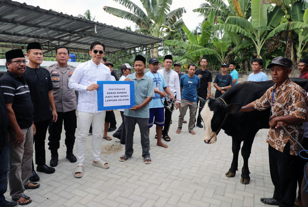 Hangatnya Pagi Iduladha di Desa Kelawi: Bupati Egi Serahkan Langsung Sapi Kurban untuk Masyarakat