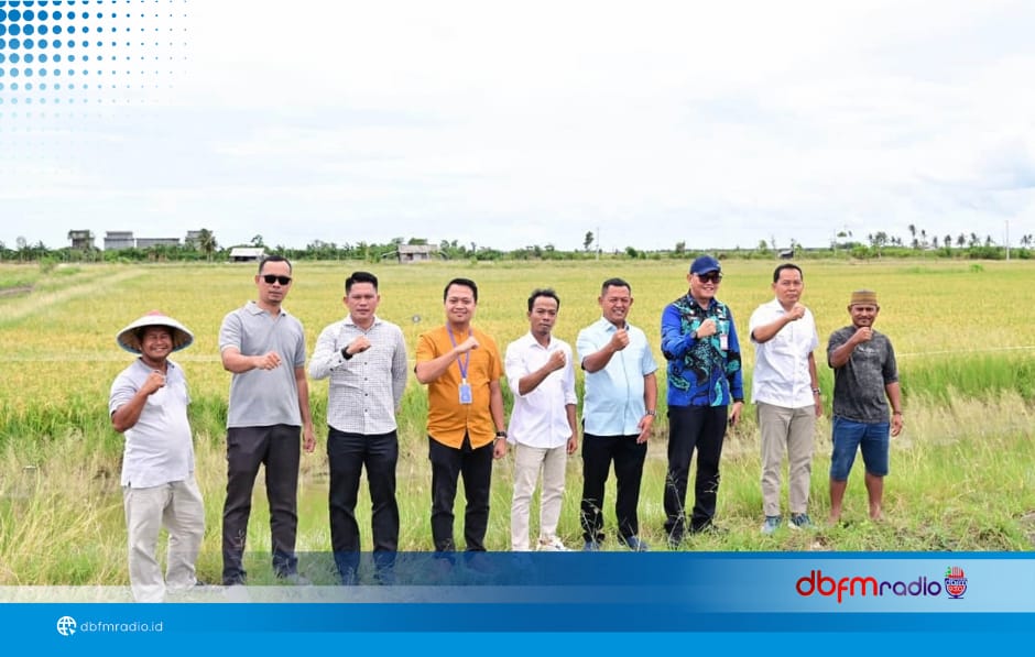 Bupati Lampung Selatan Dorong Inovasi Pertanian Melalui Program Padi Biosalin: Ubah Lahan Bekas Tambak Jadi Sawah Produktif