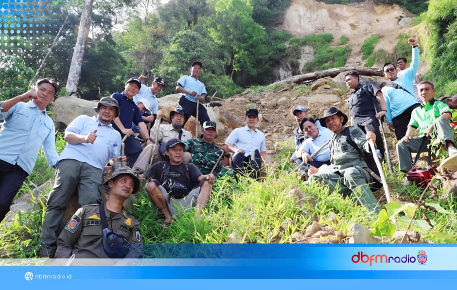 Tinjau Longsor Gunung Rajabasa, Bupati Egi Pimpin Penanaman Pohon untuk Mitigasi Bencana