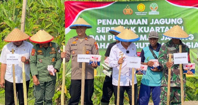 Polsek Penengahan Bersama Uspika Ketapang Tanam Jagung di Lahan Perhutanan Sosial, Dukung Ketahanan Pangan Nasional