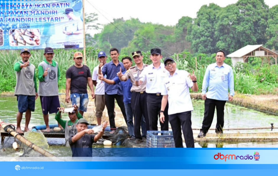 Manfaatkan Limbah Pertanian Jadi Pakan Mandiri, Pokdakan Jaya Mandiri Lestari Produksi 88 Ton Patin per Tahun