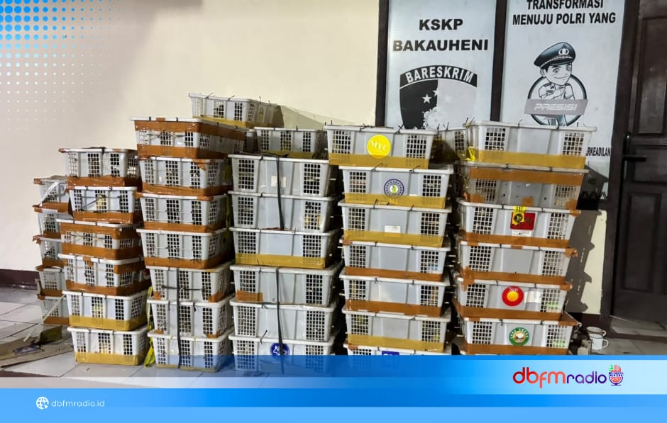 2.775 Ekor Burung Diamankan di Pelabuhan Bakauheni, Diangkut Tanpa Dokumen Karantina