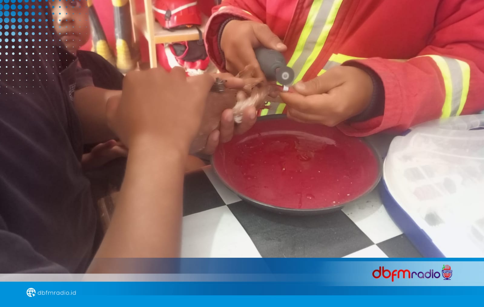 Damkar Lampung Selatan Posko Tanjung Bintang Evakuasi Gelang di Kaki Burung Merpati Milik Warga