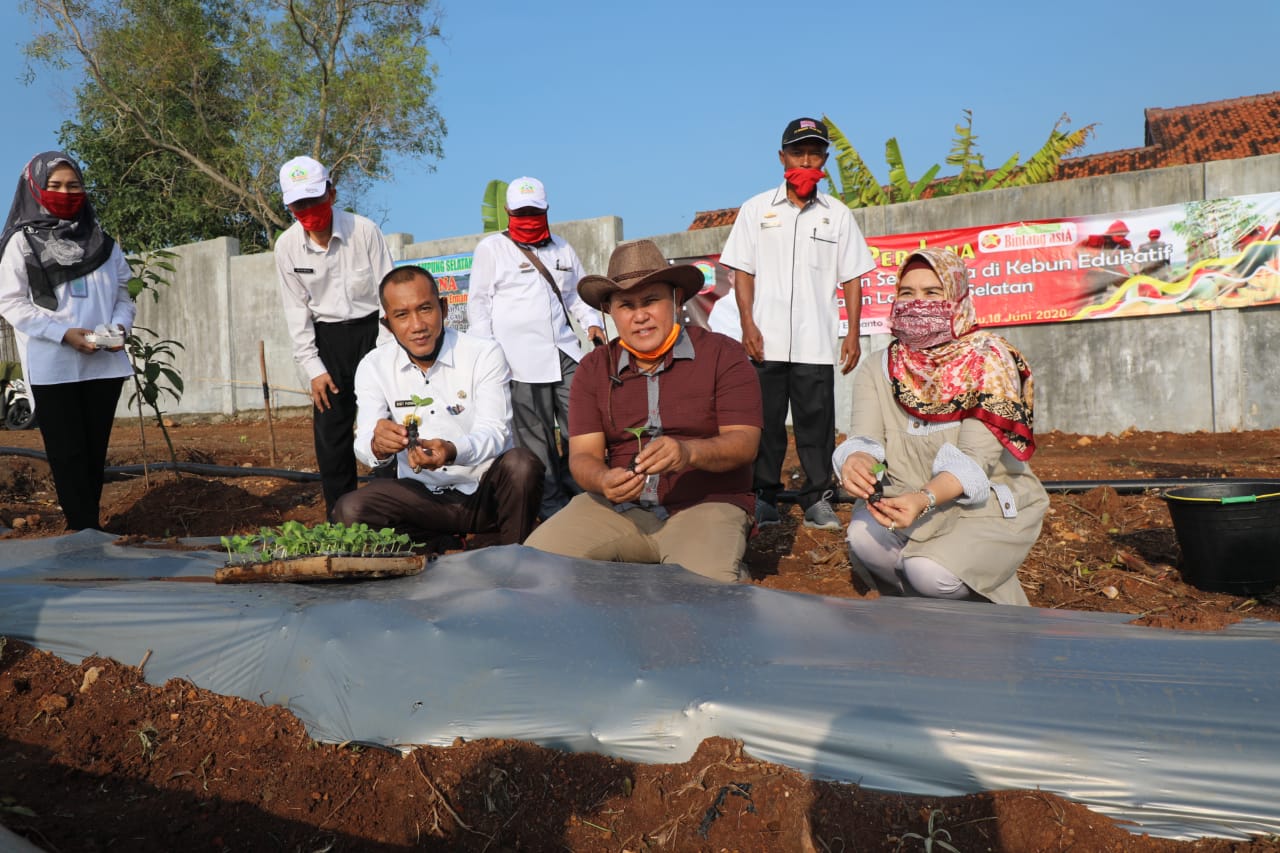 4.600 Batang  Melon Ditanam Dikebun Edukasi