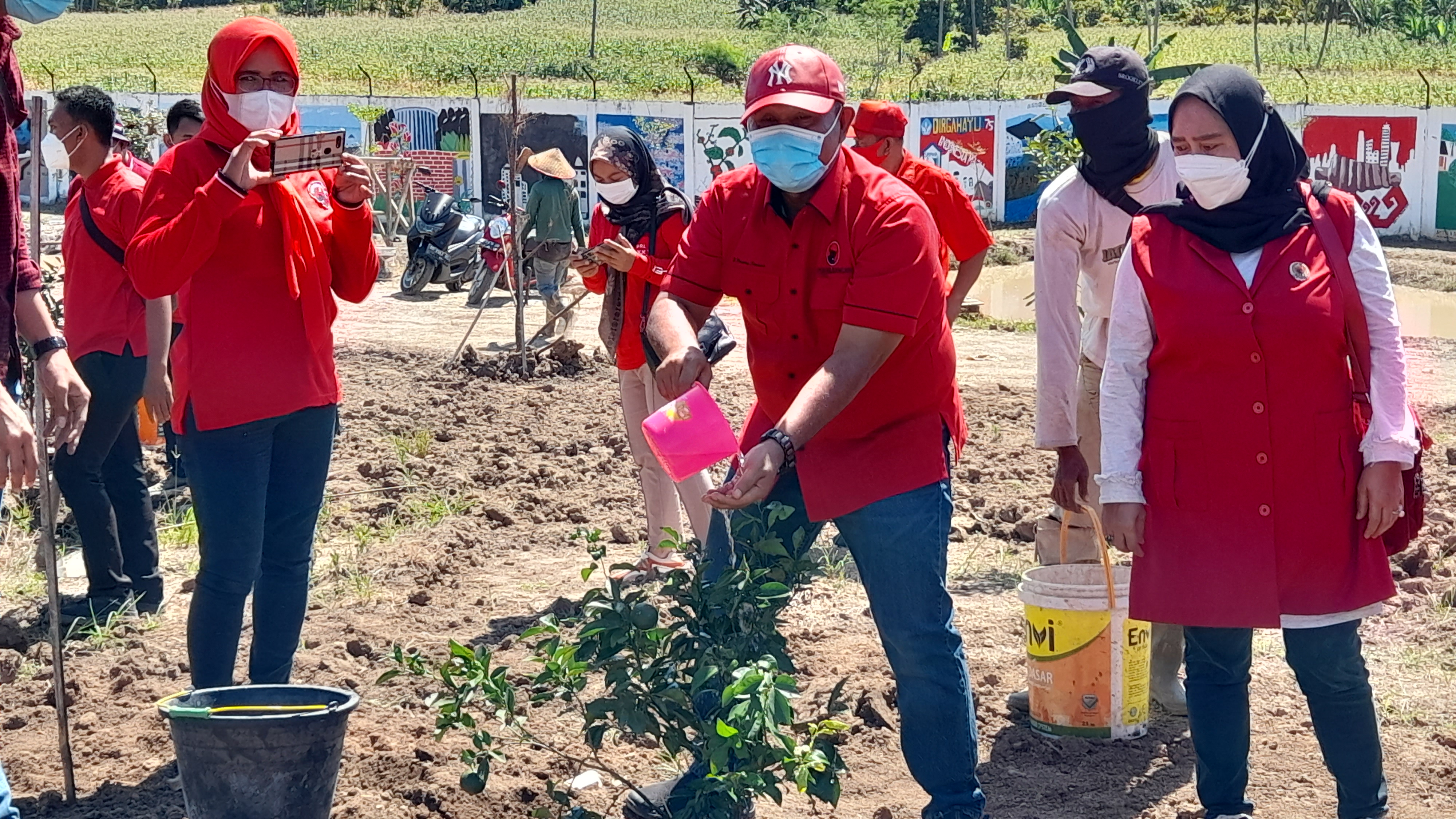 Tanam Bibit Jeruk BW, di Kebun Edukasi Kalianda, Nanang Ermanto didampingi Srikandi PDIP