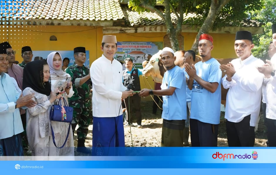 Sapi Raksasa Kurban Presiden Hadir di Karang Sari, Warga Jati Agung Diliputi Haru dan Syukur