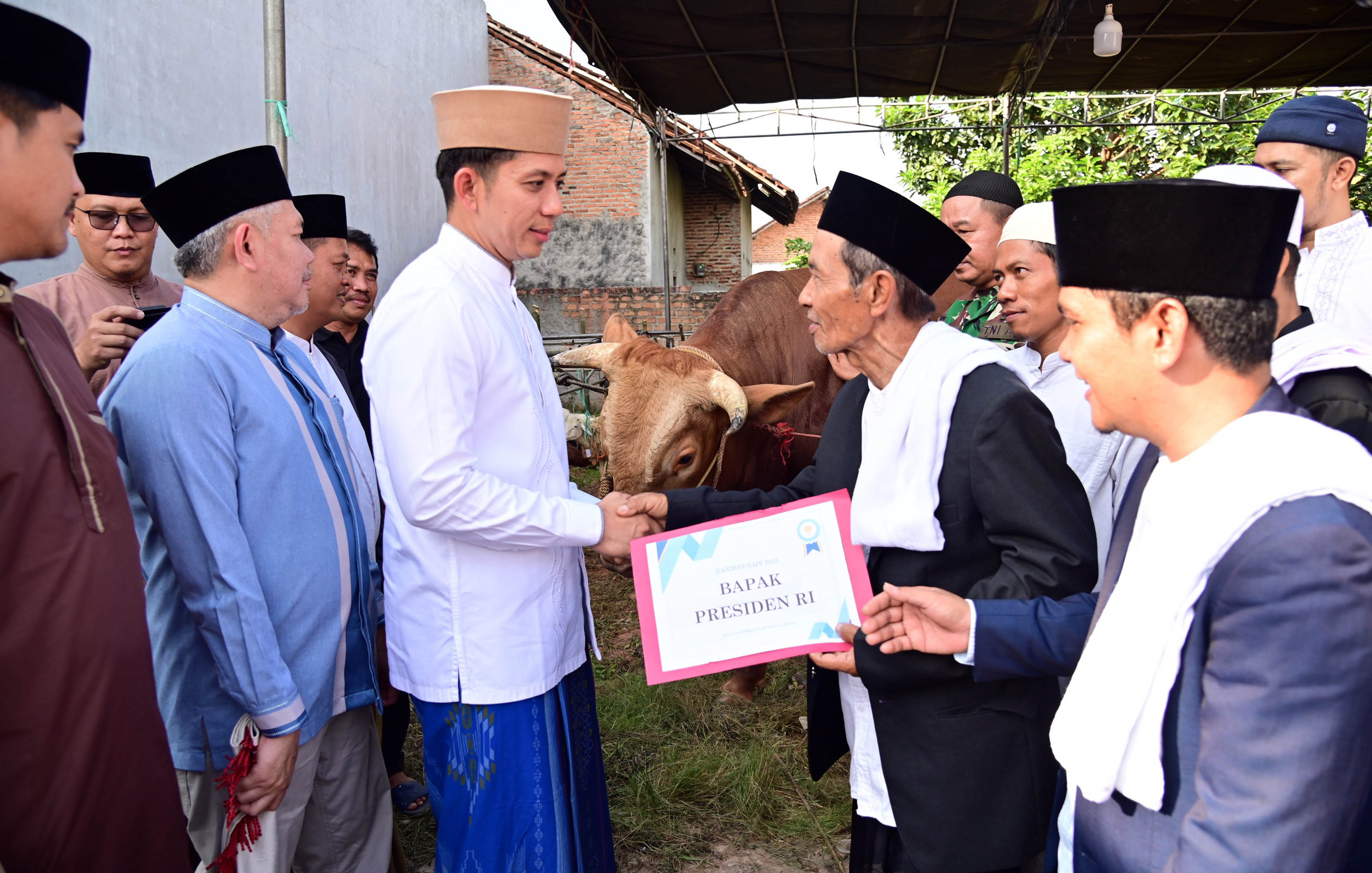Presiden Serahkan Sapi Kurban, Bupati Egi Salurkan Ke Masyarakat, Warga Fajar Baru Sambut dengan Antusias