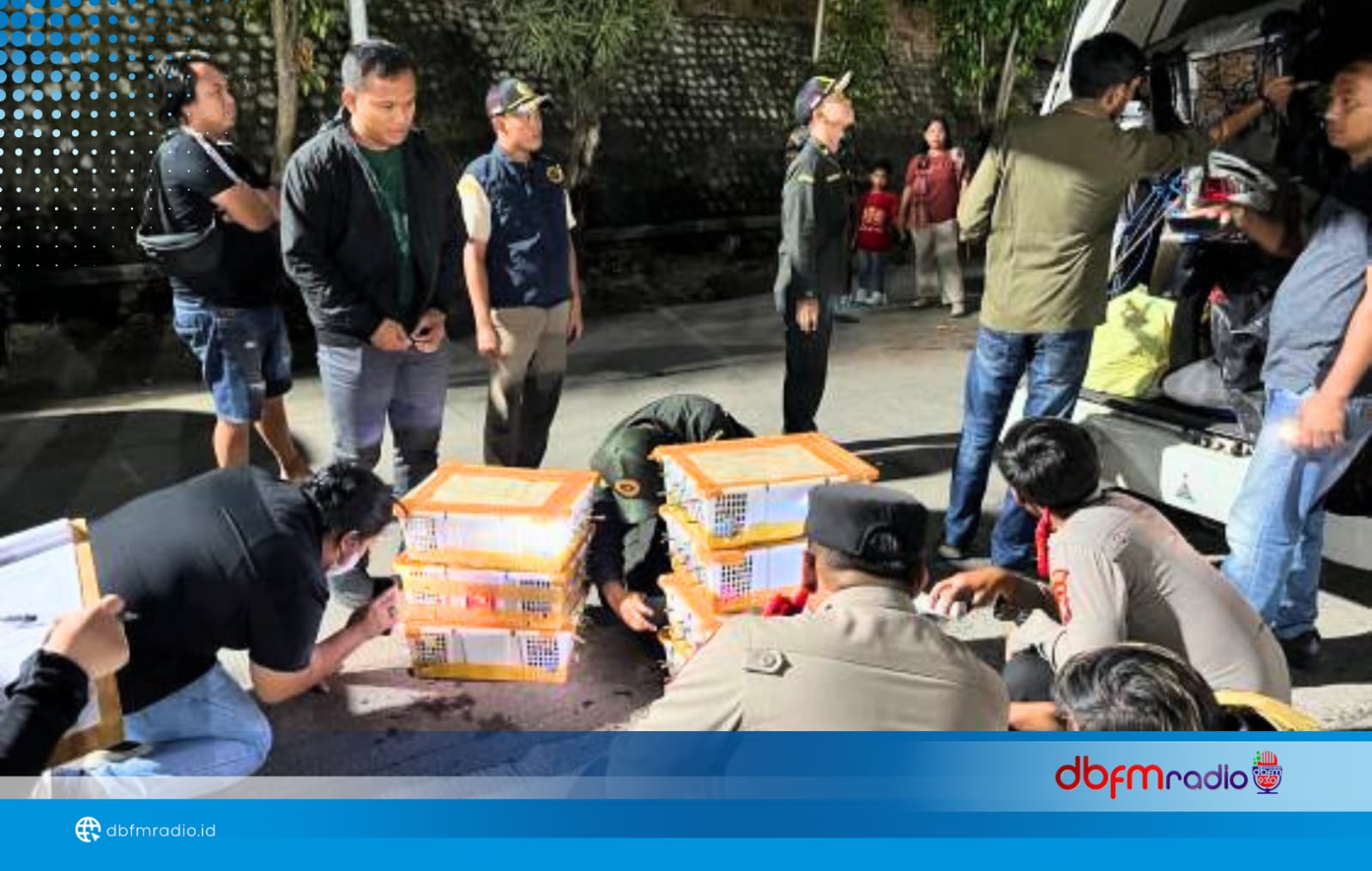 KSKP Bakauheni Gagalkan Penyelundupan 282 Burung Liar, 18 Diantaranya Satwa Dilindungi