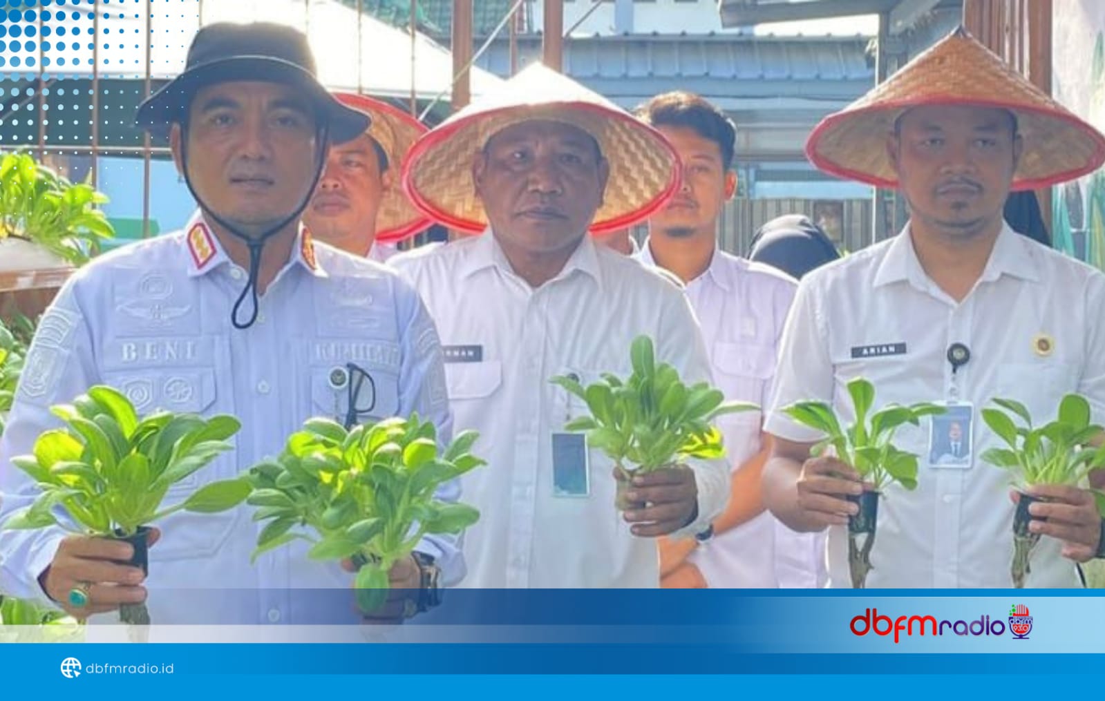 Kalapas Kalianda Pimpin Panen Pakcoy Hidroponik, Wujudkan Pembinaan Kemandirian Warga Binaan