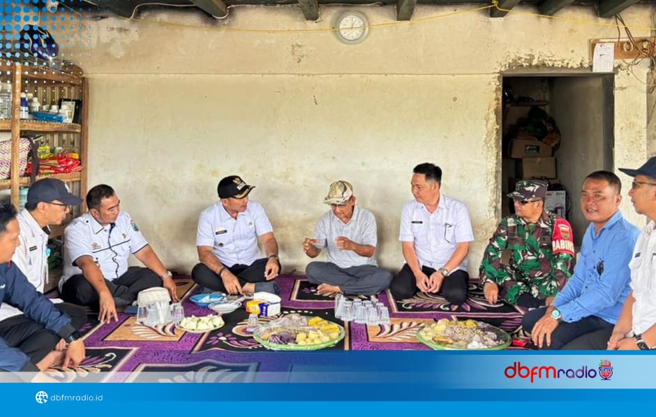 Desa Budi Lestari Jadi Teladan Pertanian Modern, Wabup Syaiful Hadiri Panen Raya Melon Premium