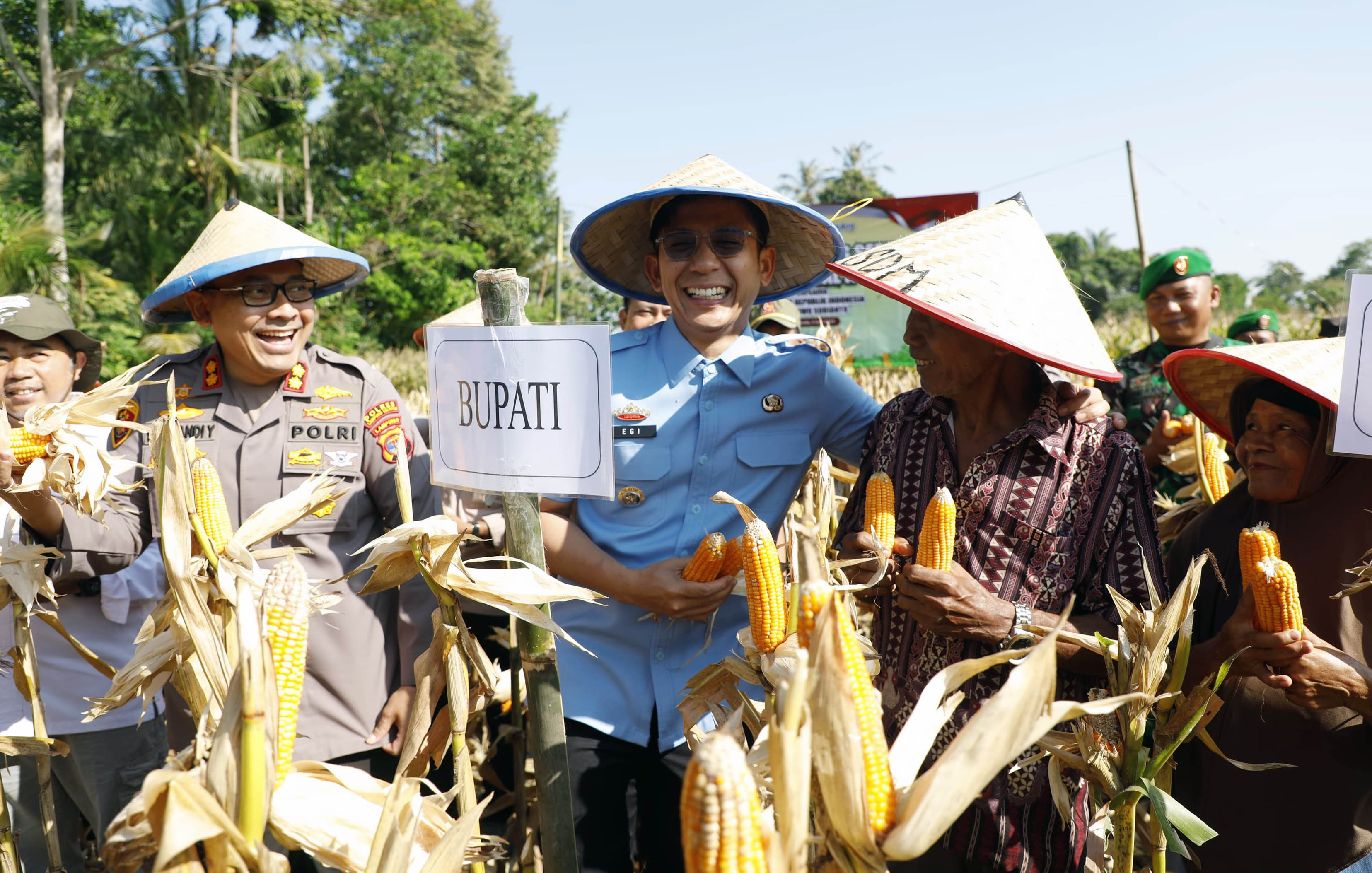 Pemkab Lampung Selatan Gelar Panen Raya Jagung, Dukung Swasembada Pangan Nasional