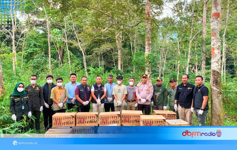 977 Burung Tanpa Dokumen Ditemukan di Bagasi Bus DAMRI, Polisi Dalami Jaringan Pengirim