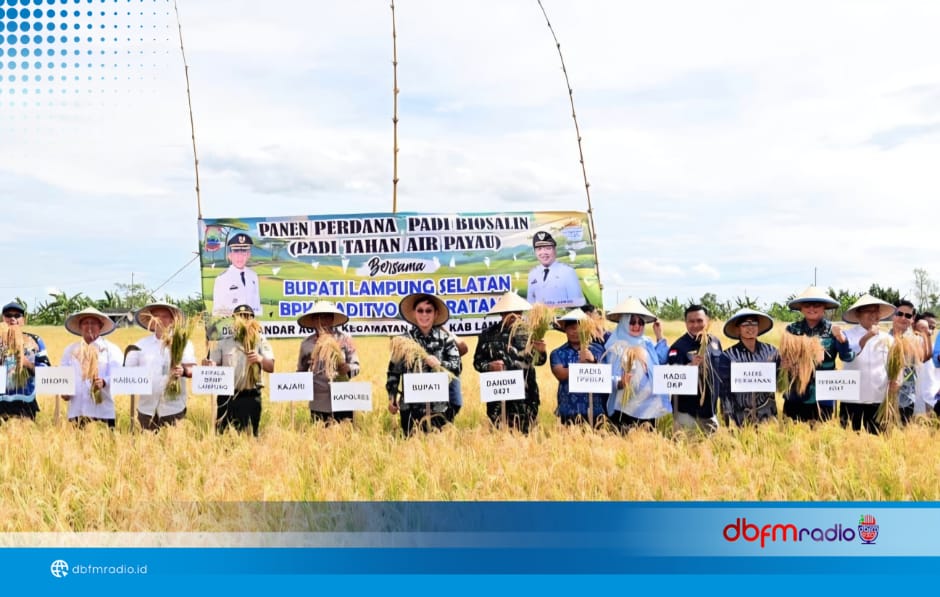 Bupati Lampung Selatan Apresiasi Inovasi Petani Sragi Ubah Lahan Tambak Jadi Sawah Produktif
