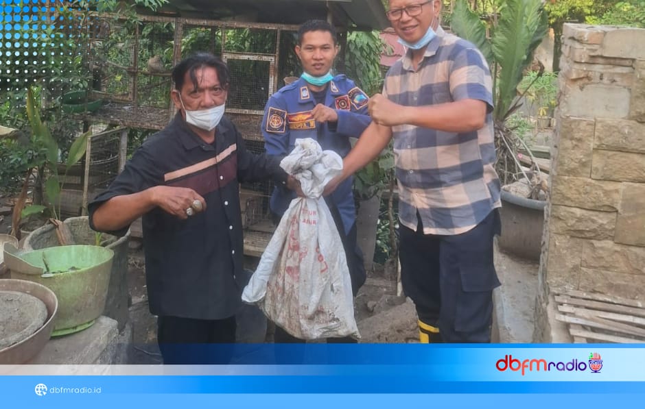 Berang-Berang Karnivora Bikin Kacau Peternakan, Damkar Turun Tangan