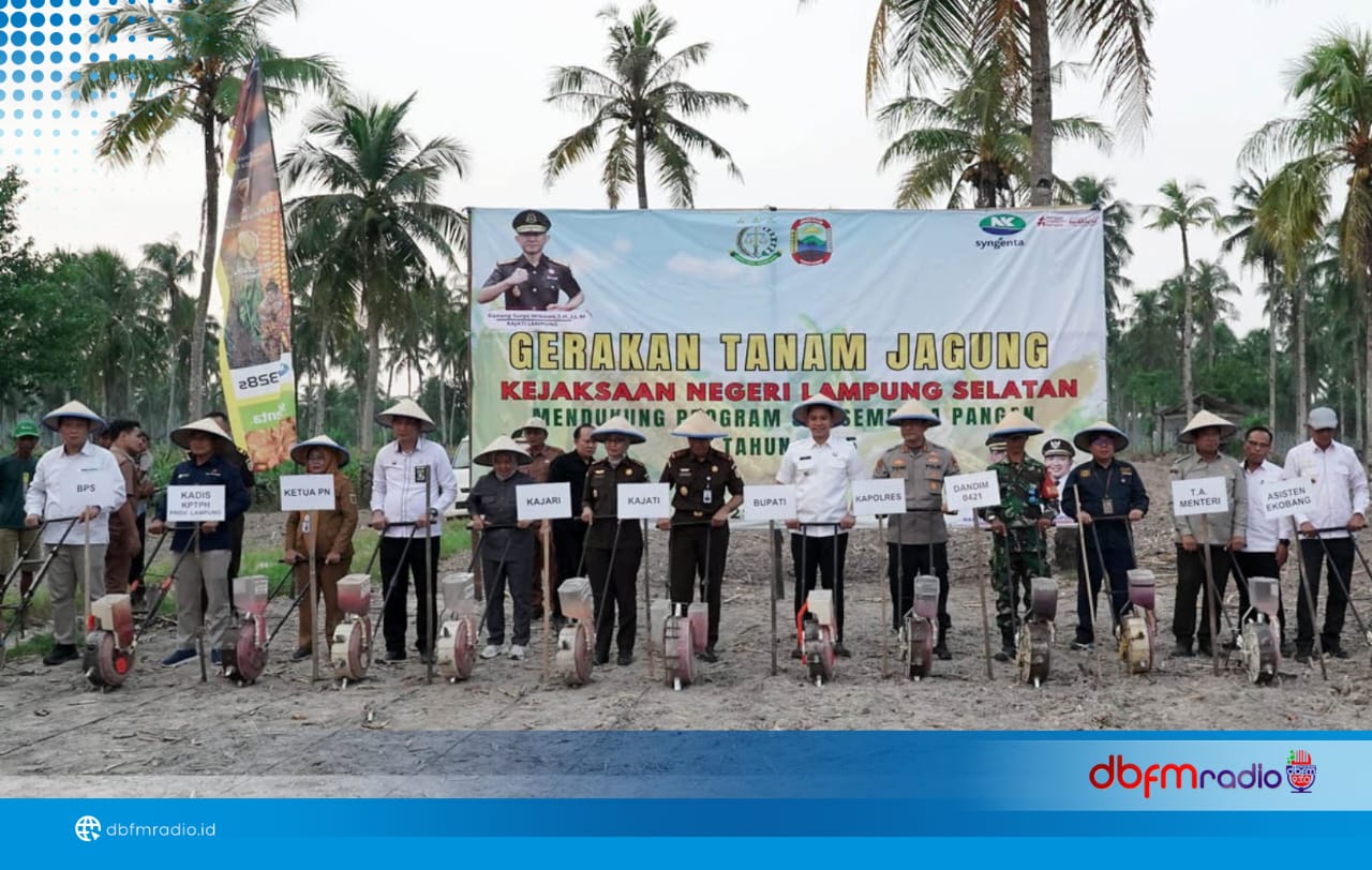 Bupati Lamsel dan Kajati Lampung Tanam Jagung Perdana, Wujudkan Ketahanan Pangan Berbasis Kolaborasi