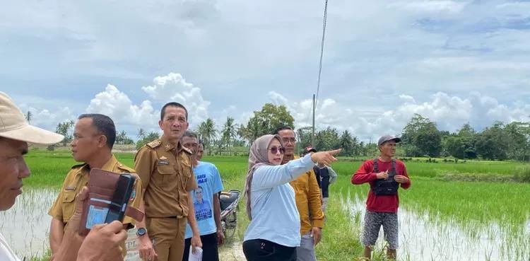 Ketua Komisi III DPRD Lampung Selatan Terjun Langsung Dampingi PLN Lakukan Survey Pemasangan Listrik di Kalirejo