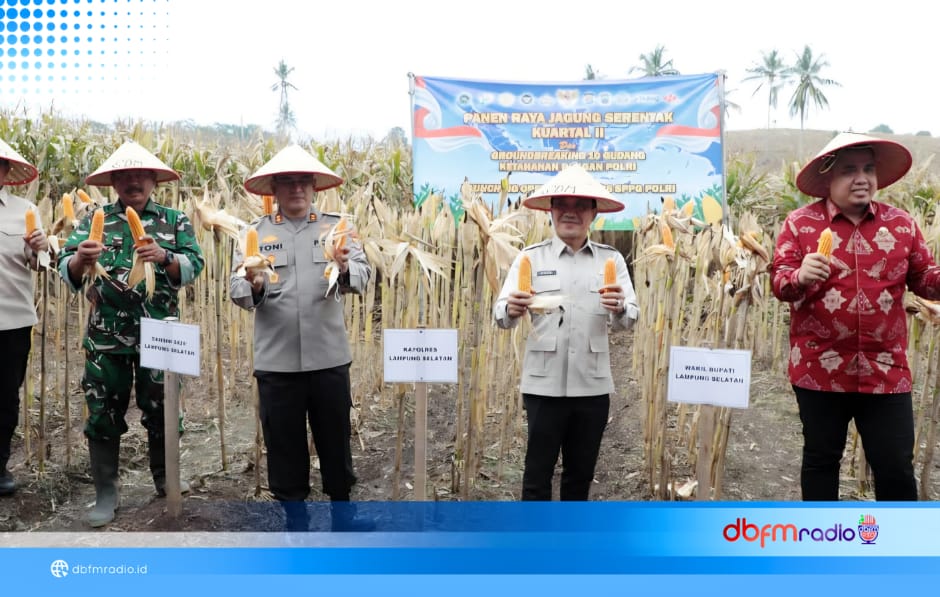 Prabowo Pimpin Panen Raya Jagung Nasional, Lampung Selatan Perkuat Dukungan Swasembada Pangan