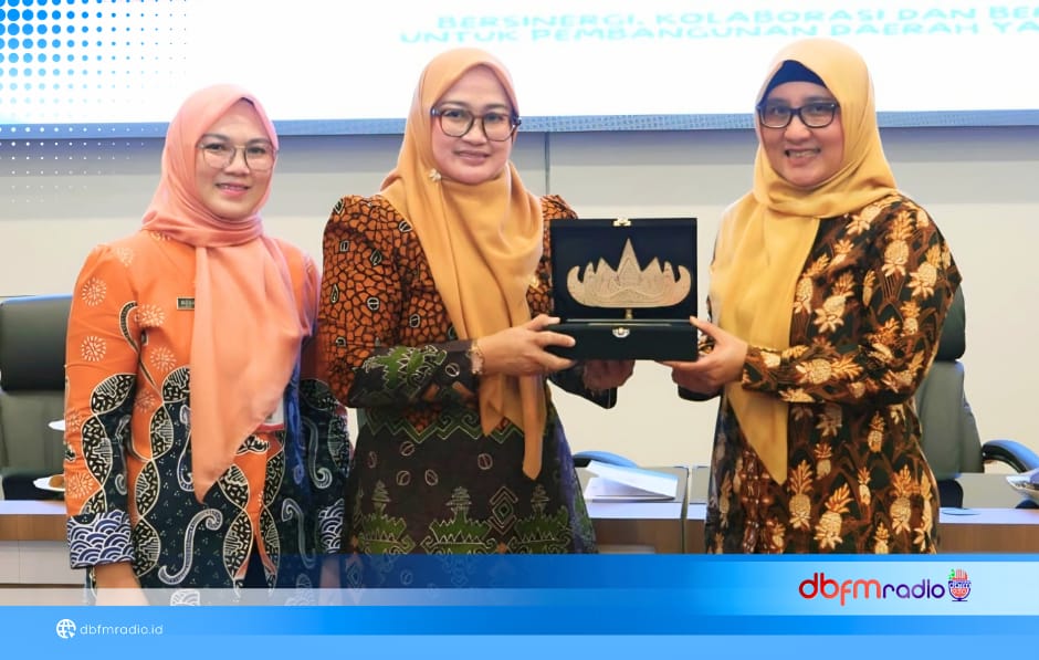 Dari Spirit of Krakatoa hingga Halo Lamsel, Pemkab Subang Serap Inovasi Lampung Selatan